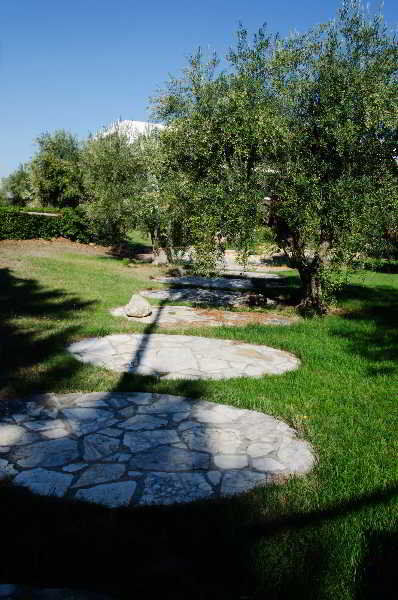 B&B Poggio Delle Ginestre Rutigliano Exterior foto